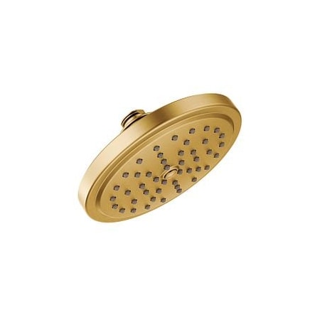 Moen 1F Rainshr Bg S176BG